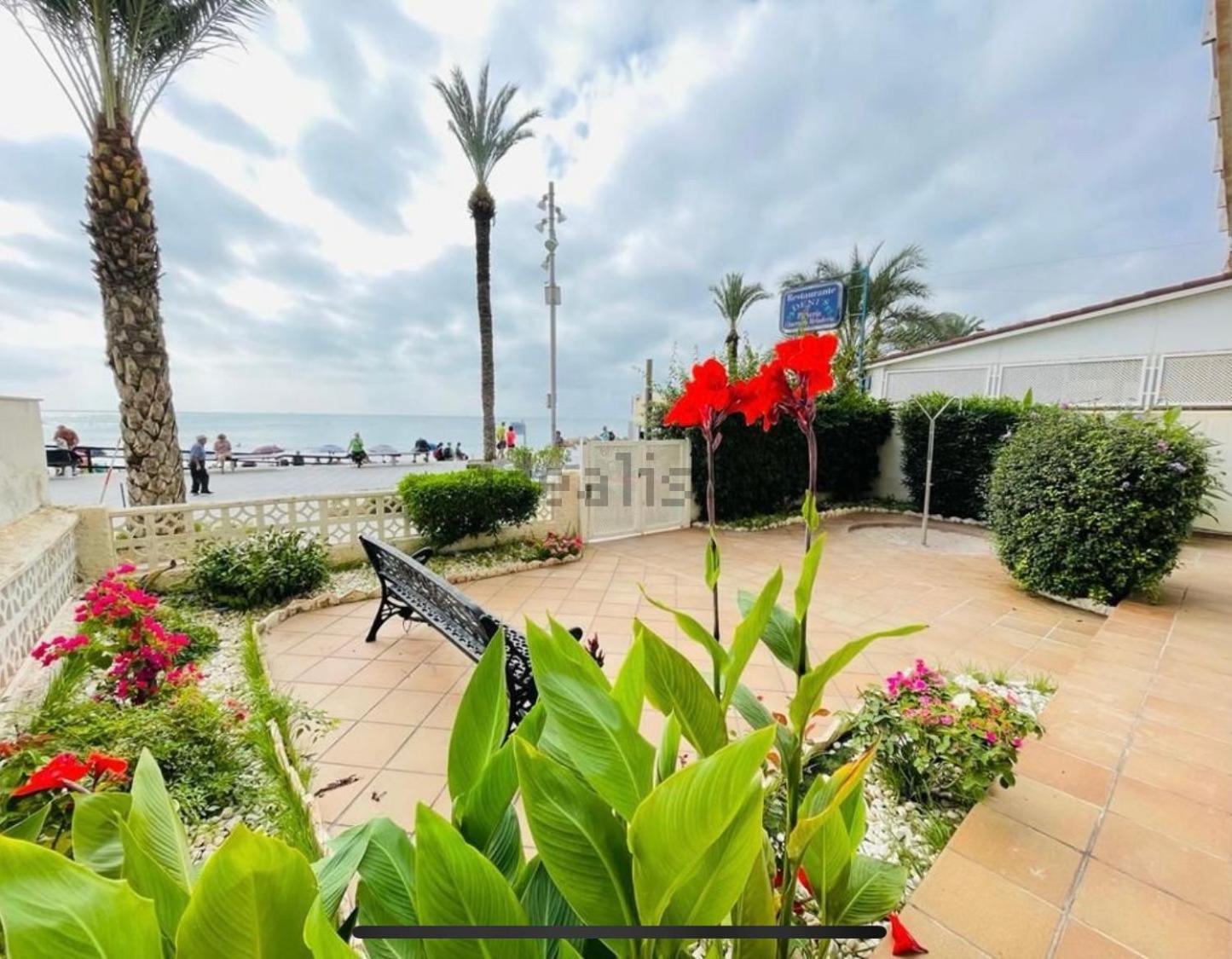 Апартаменты Blue House 1ª Linea Playa Торевьиа Экстерьер фото
